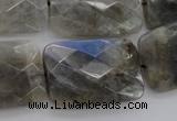 CLB97 15.5 inches 20*30mm faceted rectangle labradorite beads