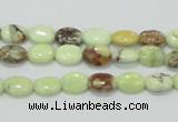 CLE52 15.5 inches 8*10mm oval lemon turquoise beads wholesale