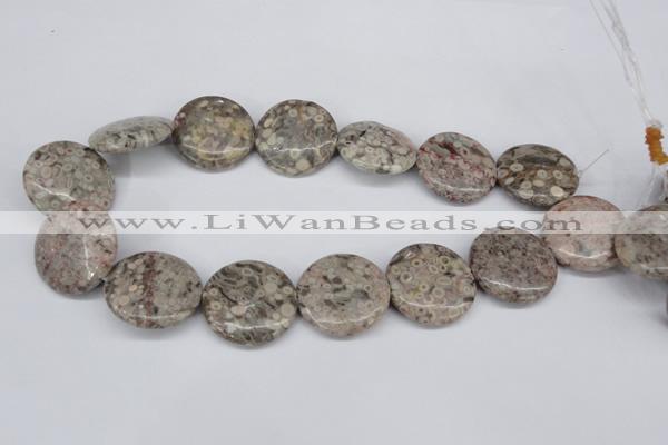 CMB14 15.5 inches 30mm flat round natural medical stone beads