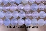 CMG325 15.5 inches 4mm faceted round morganite gemstone beads