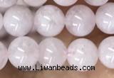 CMG409 15.5 inches 6mm round pink morganite beads wholesale