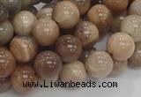 CMS03 15.5 inches 10mm round moonstone gemstone beads wholesale