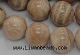 CMS05 15.5 inches 20mm round moonstone gemstone beads wholesale