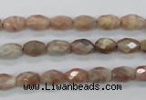 CMS100 15.5 inches 6*9mm faceted rice moonstone gemstone beads