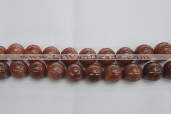 CMS1008 15.5 inches 20mm round AA grade moonstone gemstone beads