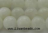 CMS1035 15.5 inches 14mm round A grade white moonstone beads