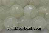 CMS1045 15.5 inches 14mm faceted round A grade white moonstone beads