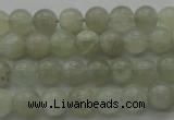 CMS1051 15.5 inches 6mm round grey moonstone beads wholesale