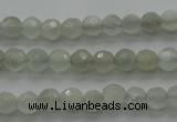 CMS1054 15.5 inches 4mm faceted round grey moonstone beads wholesale