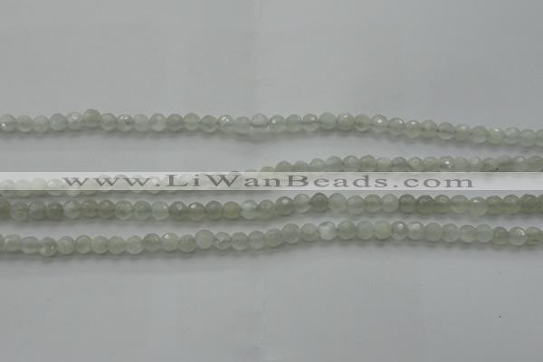 CMS1054 15.5 inches 4mm faceted round grey moonstone beads wholesale