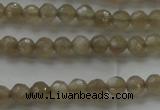 CMS1066 15.5 inches 4mm faceted round grey moonstone beads wholesale