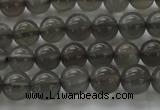 CMS1071 15.5 inches 6mm round grey moonstone beads wholesale