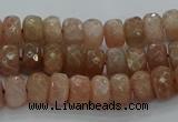 CMS1091 15.5 inches 5*8mm faceted rondelle moonstone beads