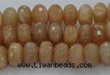 CMS1092 15.5 inches 6*10mm faceted rondelle moonstone beads