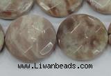 CMS114 15.5 inches 25mm faceted coin moonstone gemstone beads