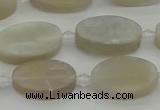 CMS1141 15.5 inches 12*20mm oval moonstone gemstone beads