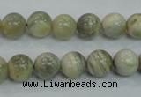 CMS121 15.5 inches 10mm round moonstone gemstone beads wholesale