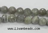 CMS124 15.5 inches 10mm faceted round moonstone gemstone beads