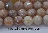 CMS1301 15.5 inches 6mm faceted round AB-color moonstone beads