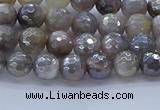 CMS1310 15.5 inches 4mm faceted round AB-color grey moonstone beads