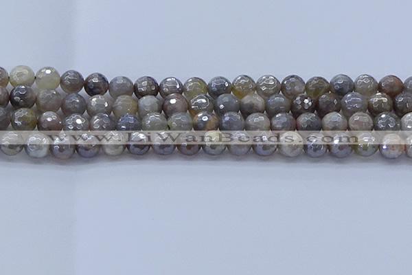 CMS1312 15.5 inches 8mm faceted round AB-color grey moonstone beads