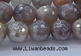 CMS1313 15.5 inches 10mm faceted round AB-color grey moonstone beads