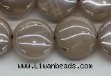 CMS1348 15.5 inches 12mm flat round AB-color moonstone beads