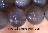 CMS1423 15.5 inches 10mm round black moonstone beads wholesale