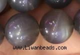 CMS1424 15.5 inches 12mm round black moonstone beads wholesale