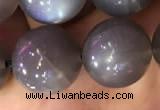 CMS1425 15.5 inches 14mm round black moonstone beads wholesale