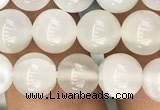 CMS1462 15.5 inches 8mm round white moonstone beads wholesale