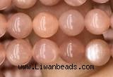 CMS1475 15.5 inches 6mm round moonstone beads wholesale