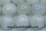 CMS1492 15.5 inches 10mm round white moonstone beads wholesale