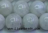 CMS1493 15.5 inches 12mm round white moonstone beads wholesale