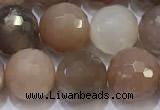 CMS1498 15.5 inches 10mmm faceted round rainbow moonstone beads