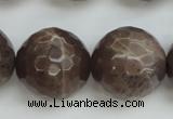 CMS155 15.5 inches 16mm faceted round natural grey moonstone beads