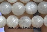 CMS1651 15.5 inches 6mm round grey moonstone beads wholesale