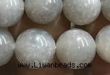 CMS1653 15.5 inches 10mm round grey moonstone beads wholesale