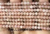 CMS1670 15.5 inches 4mm round moonstone beads wholesale