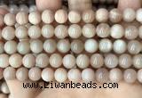 CMS1672 15.5 inches 8mm round moonstone beads wholesale