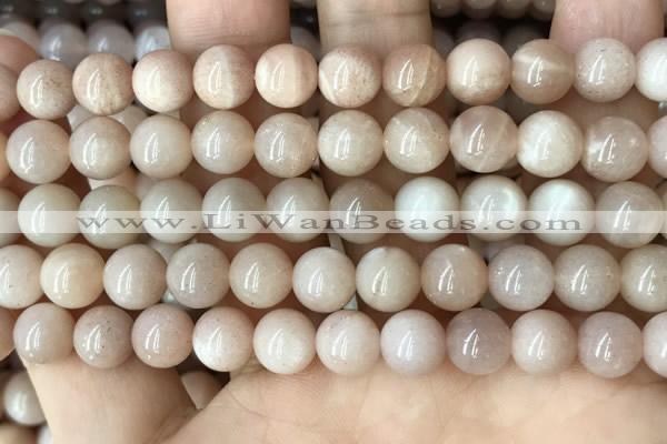 CMS1672 15.5 inches 8mm round moonstone beads wholesale