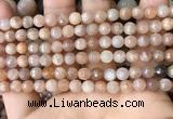 CMS1678 15.5 inches 6mm faceted round moonstone beads wholesale