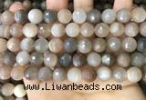 CMS1694 15.5 inches 10mm faceted round rainbow moonstone beads