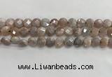 CMS1788 15.5 inches 8mm faceted coin AB-color moonstone beads