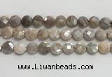 CMS1790 15.5 inches 12mm faceted coin AB-color moonstone beads