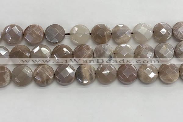 CMS1791 15.5 inches 14mm faceted coin AB-color moonstone beads