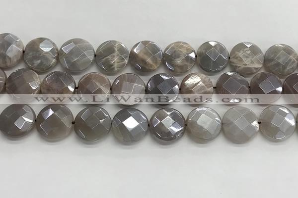 CMS1792 15.5 inches 16mm faceted coin AB-color moonstone beads