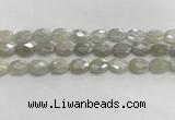 CMS1807 15.5 inches 10*14mm faceted oval AB-color moonstone beads