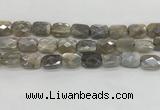 CMS1825 15.5 inches 12*16mm faceted rectangle AB-color moonstone beads