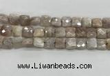 CMS1828 15.5 inches 12*12mm faceted square AB-color moonstone beads